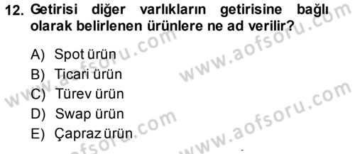 Finansal Ekonomi Dersi 2014 - 2015 Yılı Tek Ders Sınav Soruları 12. Soru