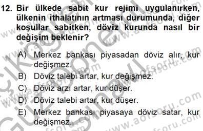 Finansal Ekonomi Dersi 2015 - 2016 Yılı (Final) Dönem Sonu Sınav Soruları 12. Soru