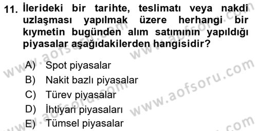 Finansal Ekonomi Dersi 2016 - 2017 Yılı 3 Ders Sınav Soruları 11. Soru