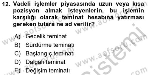 Finansal Ekonomi Dersi 2016 - 2017 Yılı 3 Ders Sınav Soruları 12. Soru