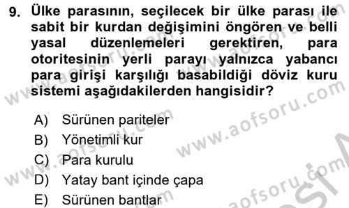 Finansal Ekonomi Dersi 2016 - 2017 Yılı 3 Ders Sınav Soruları 9. Soru