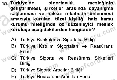 Finansal Ekonomi Dersi Ara Sınavı Deneme Sınav Soruları 15. Soru