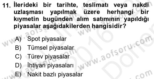 Finansal Ekonomi Dersi 2016 - 2017 Yılı (Final) Dönem Sonu Sınav Soruları 11. Soru