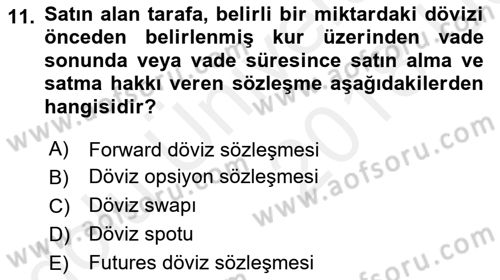 Finansal Ekonomi Dersi 2017 - 2018 Yılı 3 Ders Sınavı 11. Soru