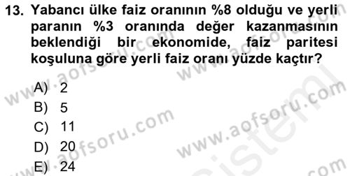 Finansal Ekonomi Dersi 2017 - 2018 Yılı 3 Ders Sınav Soruları 13. Soru