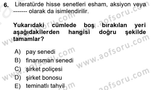 Finansal Ekonomi Dersi Ara Sınavı Deneme Sınav Soruları 6. Soru