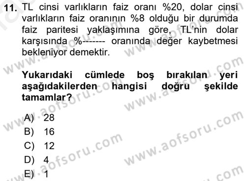 Finansal Ekonomi Dersi 2018 - 2019 Yılı (Final) Dönem Sonu Sınav Soruları 11. Soru