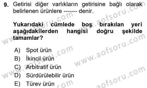 Finansal Ekonomi Dersi 2018 - 2019 Yılı (Final) Dönem Sonu Sınav Soruları 9. Soru