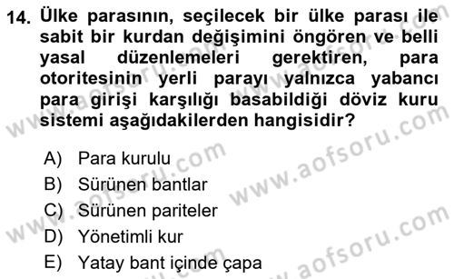 Finansal Ekonomi Dersi 2018 - 2019 Yılı Yaz Okulu Sınavı 14. Soru