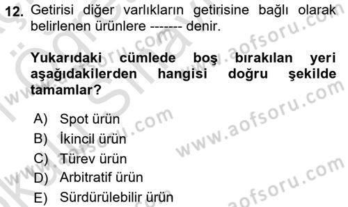 Finansal Ekonomi Dersi 2020 - 2021 Yılı Yaz Okulu Sınavı 12. Soru