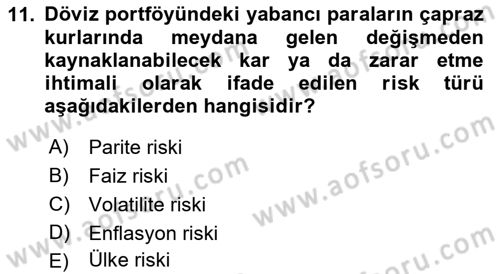 Finansal Ekonomi Dersi 2021 - 2022 Yılı Yaz Okulu Sınav Soruları 11. Soru