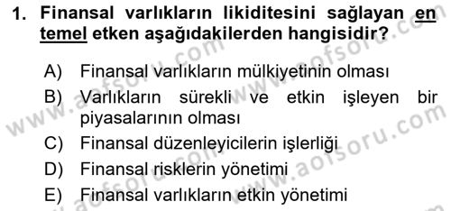 Finansal Ekonomi Dersi 2024 - 2025 Yılı (Vize) Ara Sınav Soruları 1. Soru