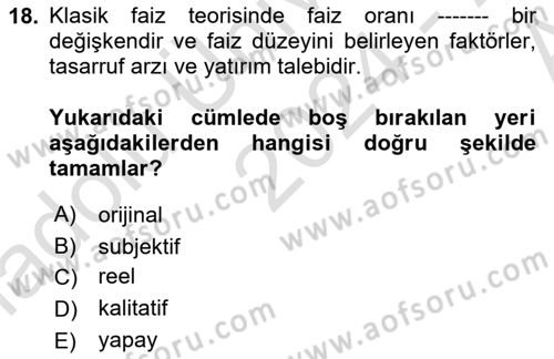Finansal Ekonomi Dersi 2024 - 2025 Yılı (Vize) Ara Sınav Soruları 18. Soru