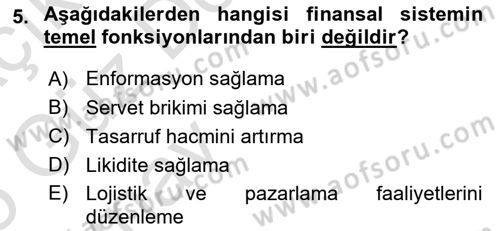 Finansal Ekonomi Dersi 2024 - 2025 Yılı (Vize) Ara Sınav Soruları 5. Soru