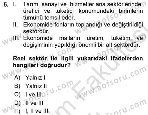 Finansal Ekonomi Dersi 2025 - 2026 Yılı (Vize) Ara Sınav Soruları 5. Soru
