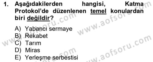 Avrupa Birliği ve Türkiye İlişkileri Dersi 2012 - 2013 Yılı (Vize) Ara Sınavı 1. Soru