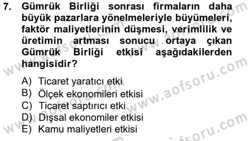 Avrupa Birliği ve Türkiye İlişkileri Dersi 2012 - 2013 Yılı (Vize) Ara Sınavı 7. Soru
