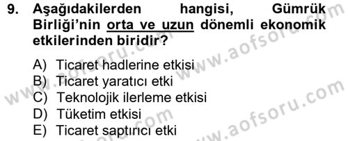 Avrupa Birliği ve Türkiye İlişkileri Dersi 2012 - 2013 Yılı (Vize) Ara Sınavı 9. Soru