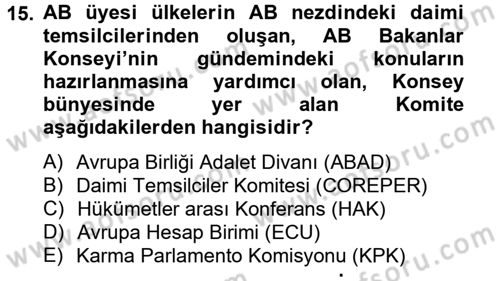 Avrupa Birliği ve Türkiye İlişkileri Dersi 2012 - 2013 Yılı (Final) Dönem Sonu Sınav Soruları 15. Soru