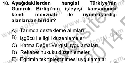 Avrupa Birliği ve Türkiye İlişkileri Dersi 2013 - 2014 Yılı (Vize) Ara Sınav Soruları 10. Soru