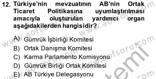 Avrupa Birliği ve Türkiye İlişkileri Dersi 2013 - 2014 Yılı (Vize) Ara Sınavı 12. Soru