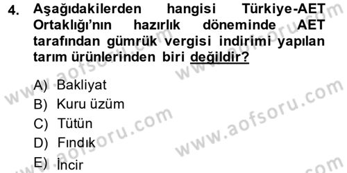 Avrupa Birliği ve Türkiye İlişkileri Dersi 2013 - 2014 Yılı (Vize) Ara Sınav Soruları 4. Soru