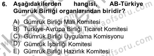 Avrupa Birliği ve Türkiye İlişkileri Dersi 2013 - 2014 Yılı (Vize) Ara Sınav Soruları 6. Soru