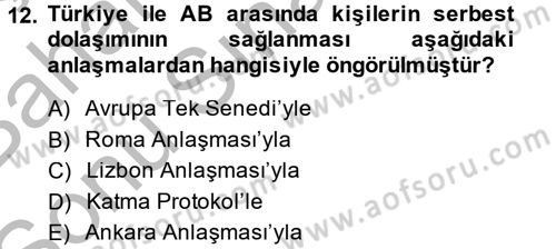 Avrupa Birliği ve Türkiye İlişkileri Dersi 2013 - 2014 Yılı (Final) Dönem Sonu Sınav Soruları 12. Soru