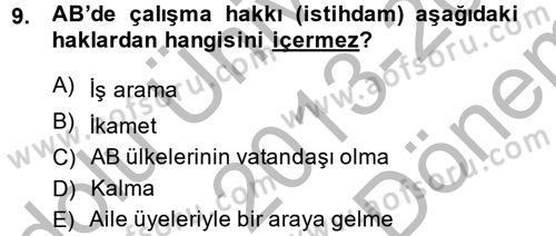 Avrupa Birliği ve Türkiye İlişkileri Dersi 2013 - 2014 Yılı (Final) Dönem Sonu Sınav Soruları 9. Soru