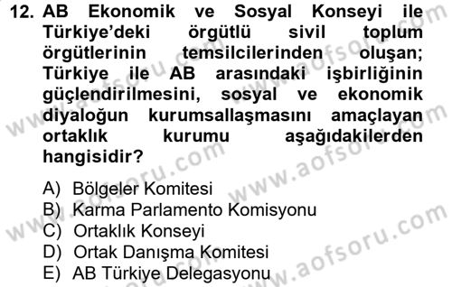 Avrupa Birliği ve Türkiye İlişkileri Dersi 2014 - 2015 Yılı (Vize) Ara Sınav Soruları 12. Soru