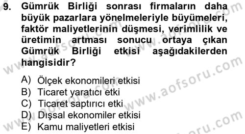 Avrupa Birliği ve Türkiye İlişkileri Dersi 2014 - 2015 Yılı Tek Ders Sınav Soruları 9. Soru