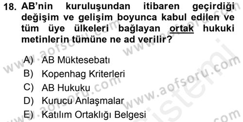 Avrupa Birliği ve Türkiye İlişkileri Dersi 2015 - 2016 Yılı (Vize) Ara Sınav Soruları 18. Soru