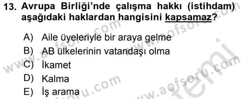 Avrupa Birliği ve Türkiye İlişkileri Dersi 2015 - 2016 Yılı (Final) Dönem Sonu Sınav Soruları 13. Soru