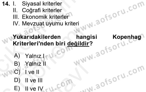 Avrupa Birliği ve Türkiye İlişkileri Dersi 2015 - 2016 Yılı Tek Ders Sınav Soruları 14. Soru