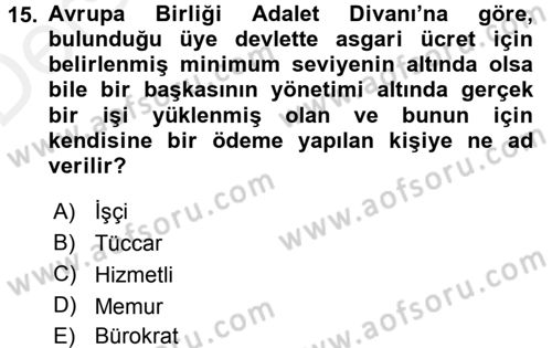 Avrupa Birliği ve Türkiye İlişkileri Dersi 2015 - 2016 Yılı Tek Ders Sınav Soruları 15. Soru