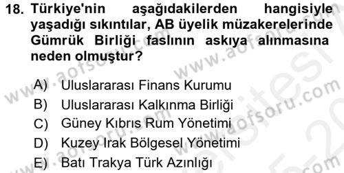 Avrupa Birliği ve Türkiye İlişkileri Dersi 2015 - 2016 Yılı Tek Ders Sınav Soruları 18. Soru