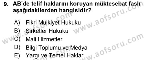 Avrupa Birliği ve Türkiye İlişkileri Dersi 2015 - 2016 Yılı Tek Ders Sınav Soruları 9. Soru