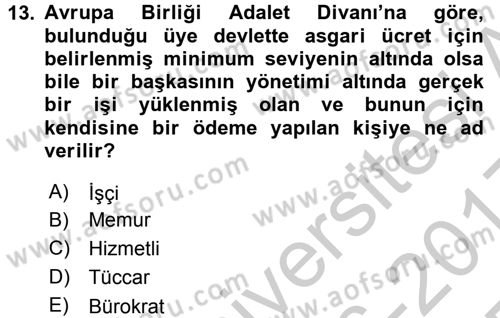 Avrupa Birliği ve Türkiye İlişkileri Dersi 2016 - 2017 Yılı 3 Ders Sınav Soruları 13. Soru
