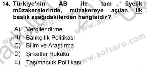 Avrupa Birliği ve Türkiye İlişkileri Dersi 2016 - 2017 Yılı 3 Ders Sınav Soruları 14. Soru