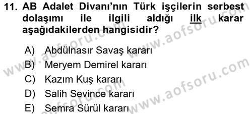 Avrupa Birliği ve Türkiye İlişkileri Dersi 2016 - 2017 Yılı (Final) Dönem Sonu Sınav Soruları 11. Soru