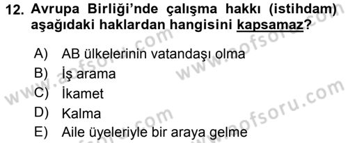 Avrupa Birliği ve Türkiye İlişkileri Dersi 2017 - 2018 Yılı 3 Ders Sınav Soruları 12. Soru