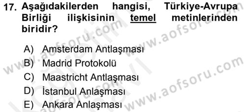 Avrupa Birliği ve Türkiye İlişkileri Dersi 2017 - 2018 Yılı 3 Ders Sınav Soruları 17. Soru