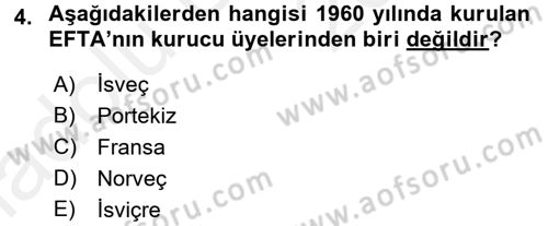 Avrupa Birliği ve Türkiye İlişkileri Dersi 2017 - 2018 Yılı 3 Ders Sınav Soruları 4. Soru