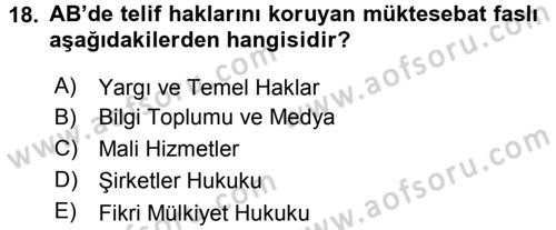 Avrupa Birliği ve Türkiye İlişkileri Dersi 2017 - 2018 Yılı (Vize) Ara Sınav Soruları 18. Soru