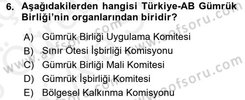 Avrupa Birliği ve Türkiye İlişkileri Dersi 2017 - 2018 Yılı (Vize) Ara Sınav Soruları 6. Soru