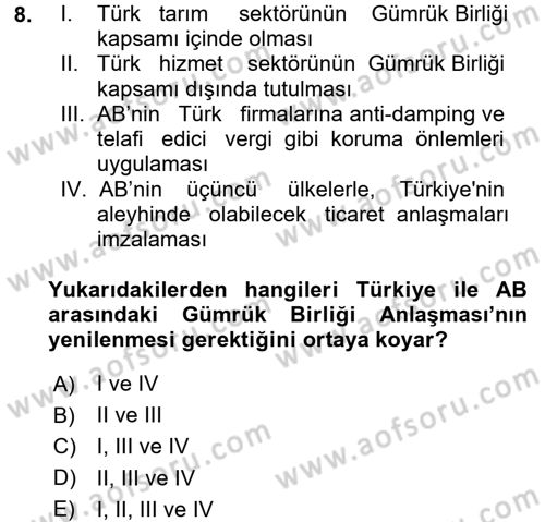 Avrupa Birliği ve Türkiye İlişkileri Dersi 2017 - 2018 Yılı (Vize) Ara Sınav Soruları 8. Soru