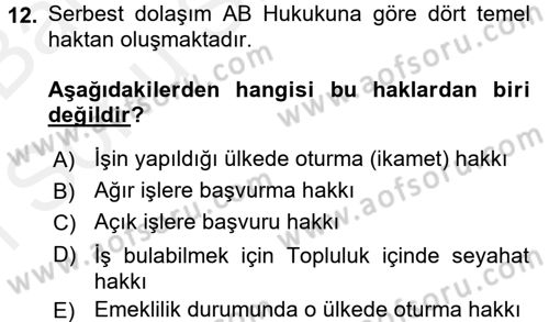 Avrupa Birliği ve Türkiye İlişkileri Dersi 2017 - 2018 Yılı (Final) Dönem Sonu Sınavı 12. Soru