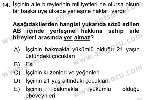 Avrupa Birliği ve Türkiye İlişkileri Dersi 2017 - 2018 Yılı (Final) Dönem Sonu Sınavı 14. Soru