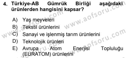 Avrupa Birliği ve Türkiye İlişkileri Dersi 2018 - 2019 Yılı 3 Ders Sınav Soruları 4. Soru