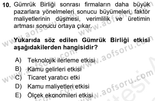 Avrupa Birliği ve Türkiye İlişkileri Dersi 2018 - 2019 Yılı (Vize) Ara Sınav Soruları 10. Soru